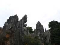 A magnificient stone forest formation, Shi-Lin Stone Forest