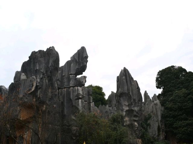 A magnificient stone forest formation, Shi-Lin Stone Forest