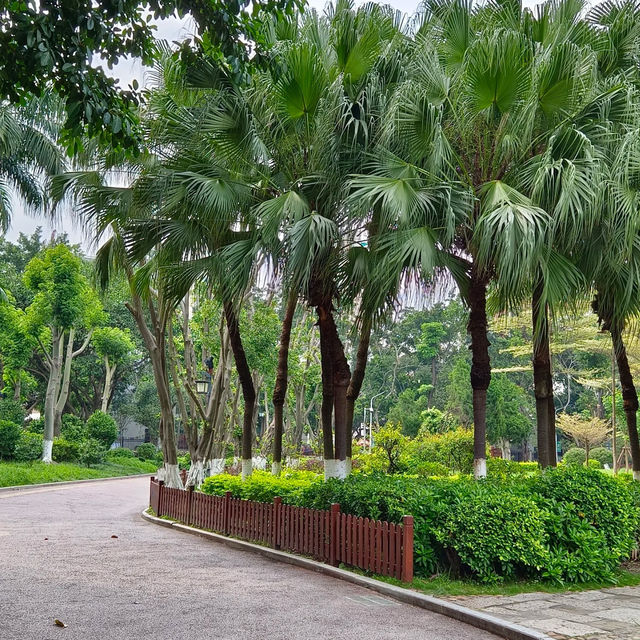 【高雄】澄清湖～荷花夢幻景緻～園林藝術之美