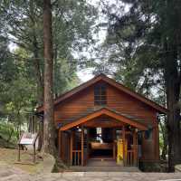 Alishan National Park 