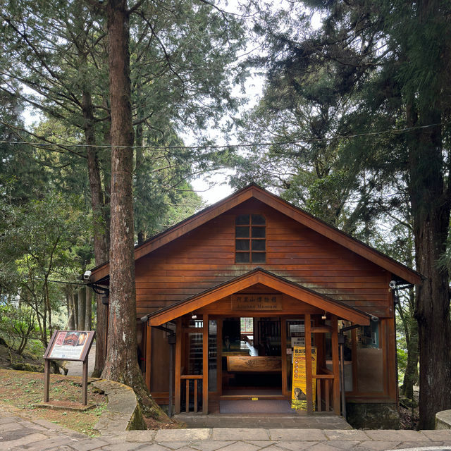 Alishan National Park 