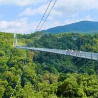 스릴을 만끽하자 173m 높이 아찔한 협곡 다리 - 코코노에 꿈의 대현수교 九重“夢”大吊橋