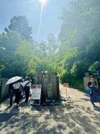 【鎌倉】季節ごとの花が楽しめる［日本遺産］明月院