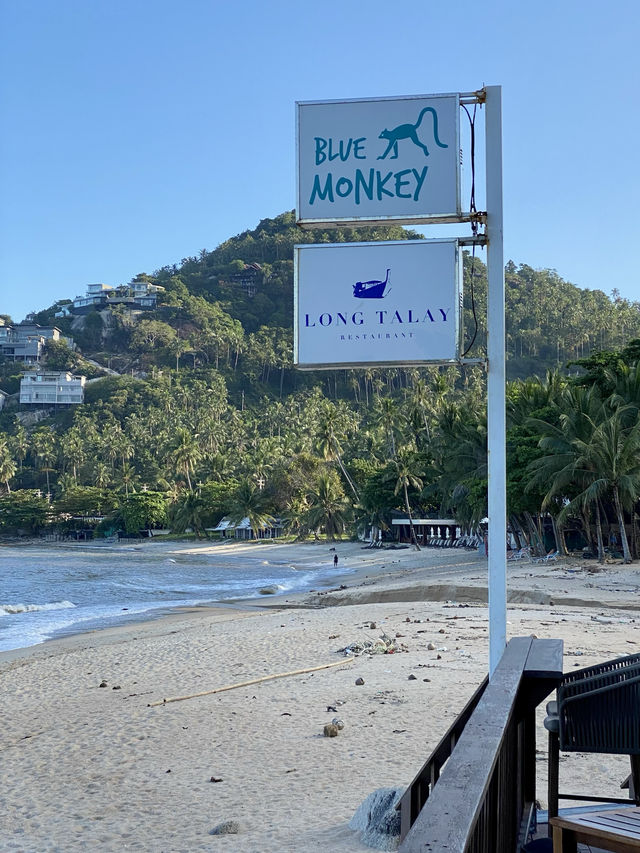 BLUE MONKEY 🐒 ดื่มด่ำริมทะเลสมุยที่แท้ทรู 🧊
