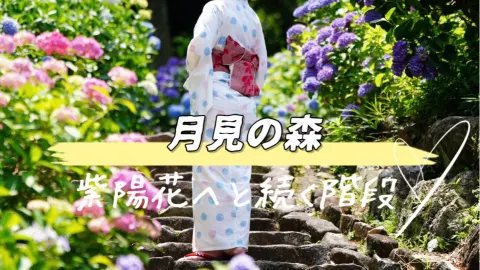 免費的繡球花景點享受🤗💠💐爬上通往月亮的樓梯☺️🌕✨ — traveler post in 海津市