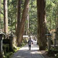 高野山金剛峯寺を訪れました！