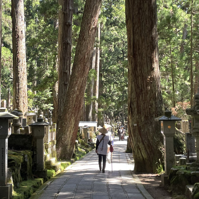 高野山金剛峯寺を訪れました！