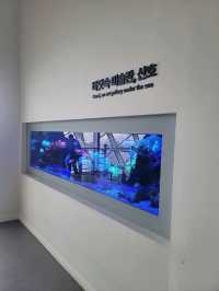무료로 즐기는 아쿠아리움이 있는 곳🐠