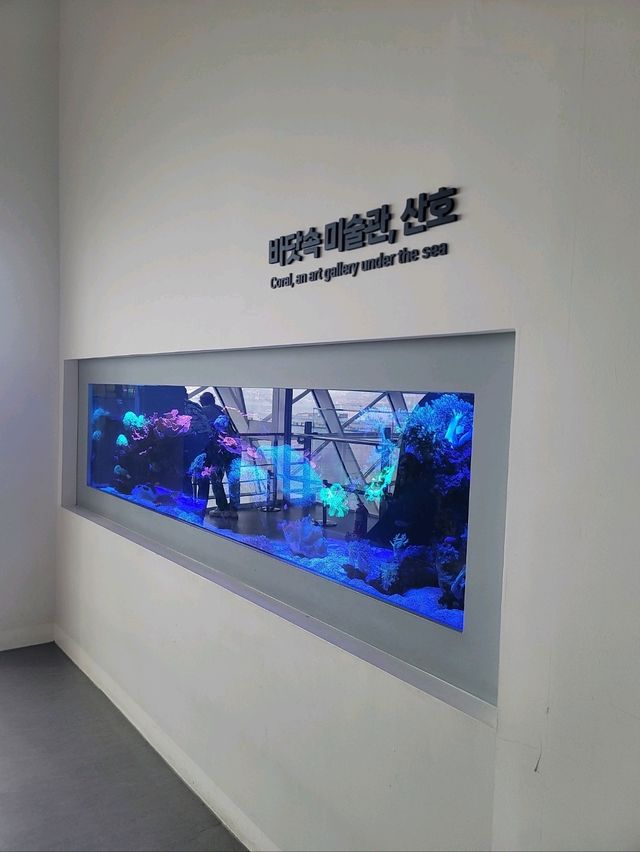 무료로 즐기는 아쿠아리움이 있는 곳🐠