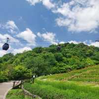 「沖繩景點：安波之滝，感受大自然之美」