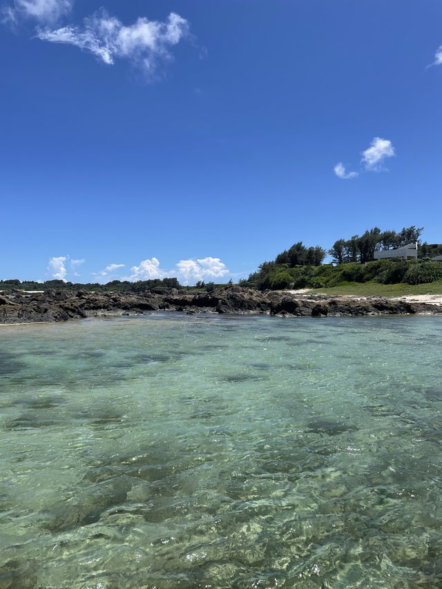 奄美大島　まさに天然のプール🏊あやまる岬観光公園