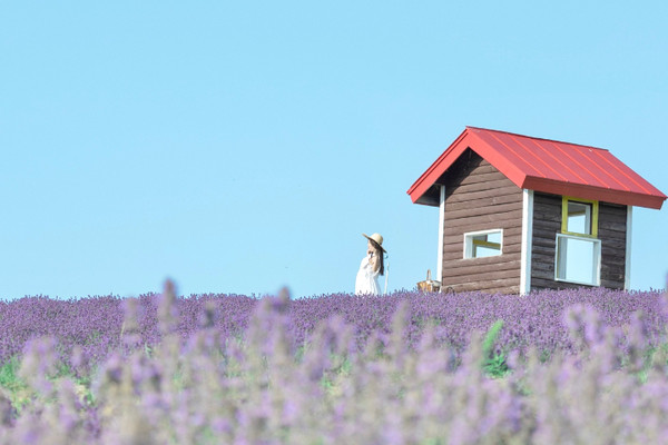 稀少】2009年「北海道ラベンダー」・2005年「北海道オコジョ」根付