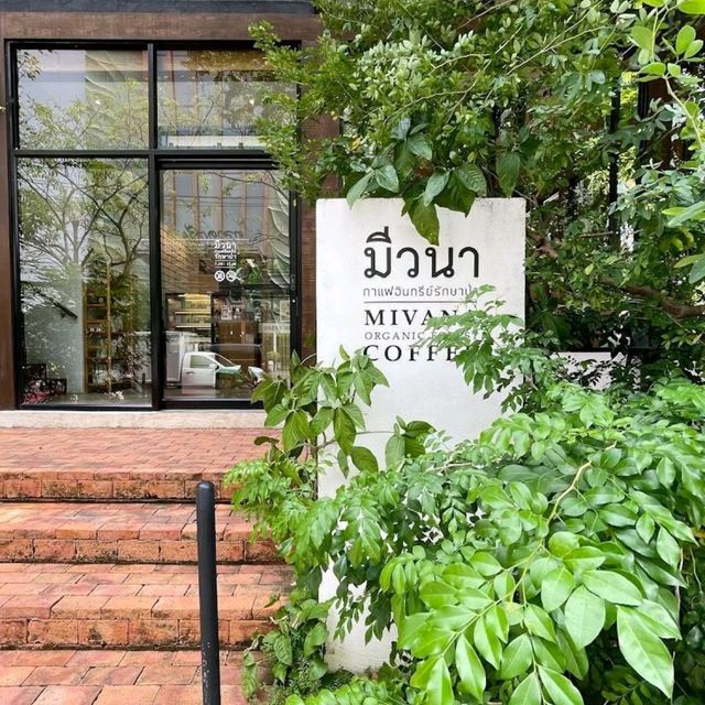 MiVana Coffee คาเฟ่ป่าในเมือง
