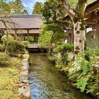〜京都府〜世界遺産上賀茂神社