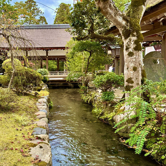 〜京都府〜世界遺産上賀茂神社