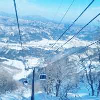 Hakuba Goryu: A Powder Paradise, Nagano 🇯🇵