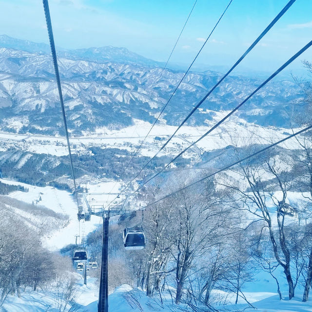 Hakuba Goryu: A Powder Paradise, Nagano 🇯🇵