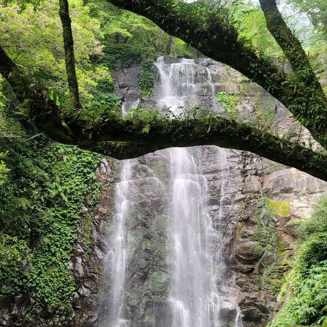 假日悠閒爬山