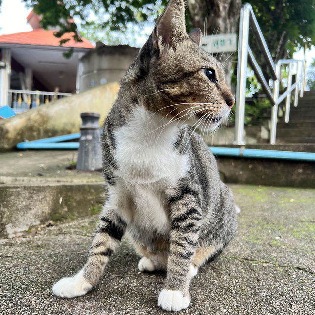 วัดพระธาตุเขาน้อย จ.น่าน