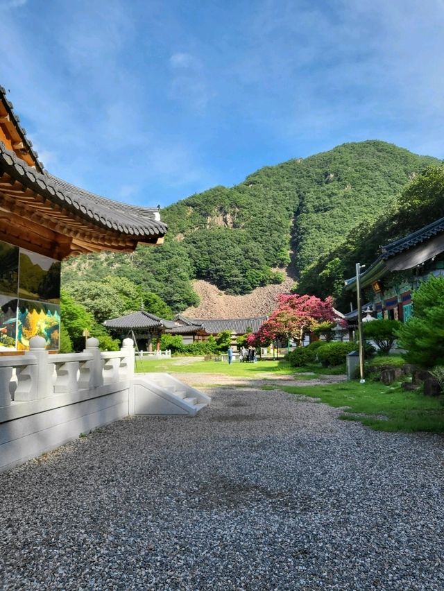 호랑이가 있는 충북 영동 반야사