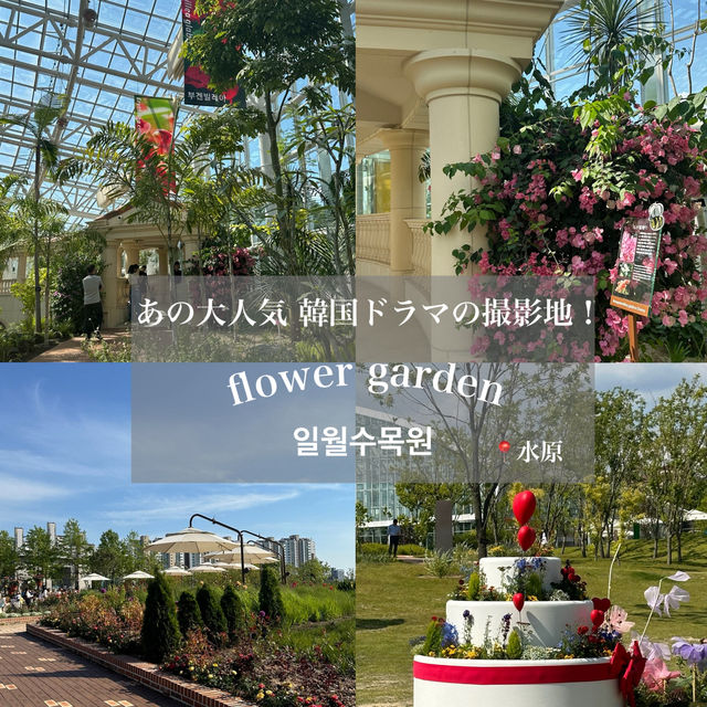 《水原》 あの大ヒットドラマの撮影地！일월수목원　💐