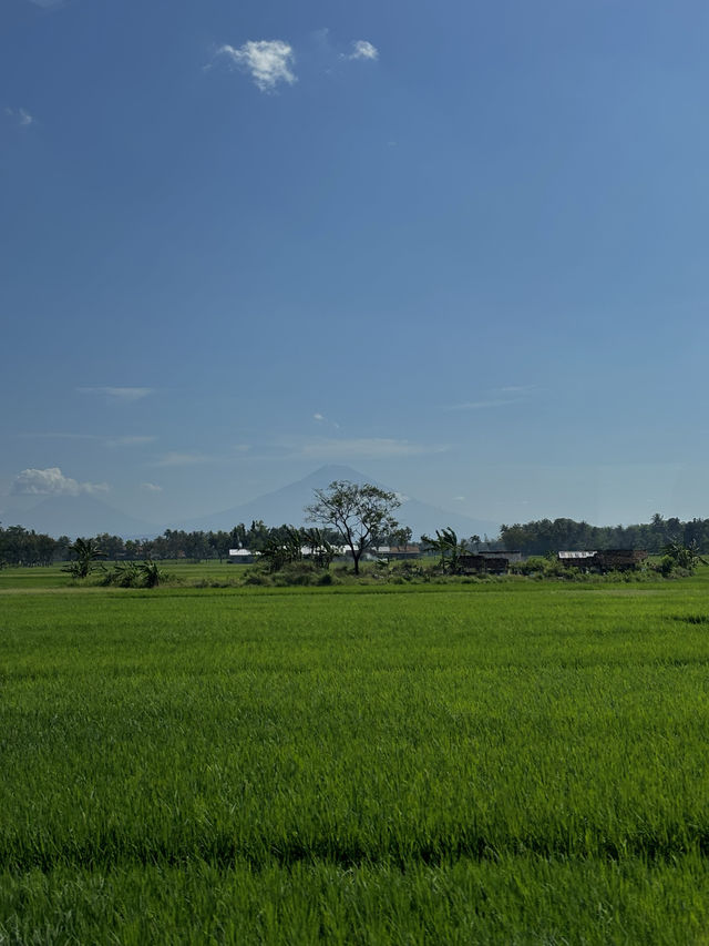 นั่งรถไฟข้ามเมืองที่ประเทศอินโดนีเซีย 🇮🇩