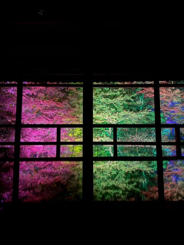 〜滋賀県〜美しすぎる旧竹林院ライトアップ✨