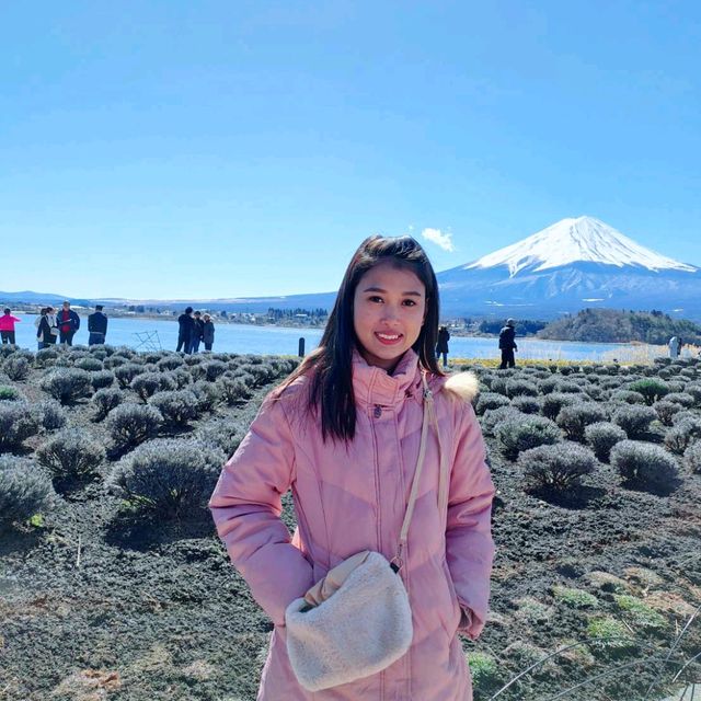 Tokyo Fuji Japan 