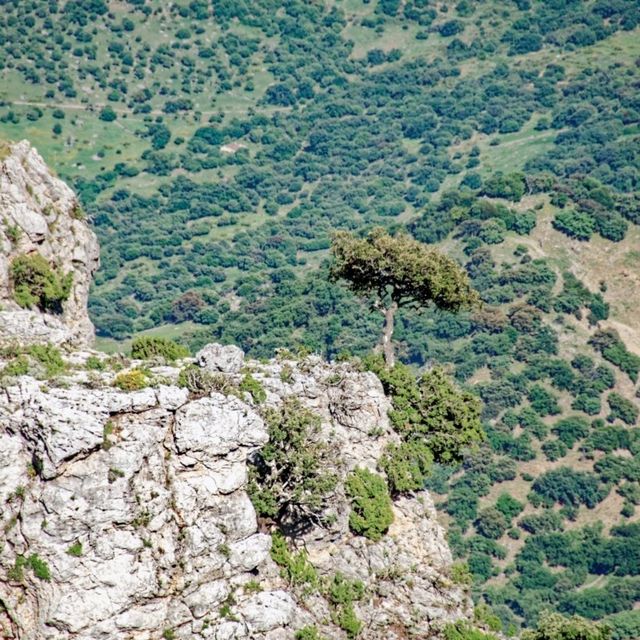 A national park in Andulasia