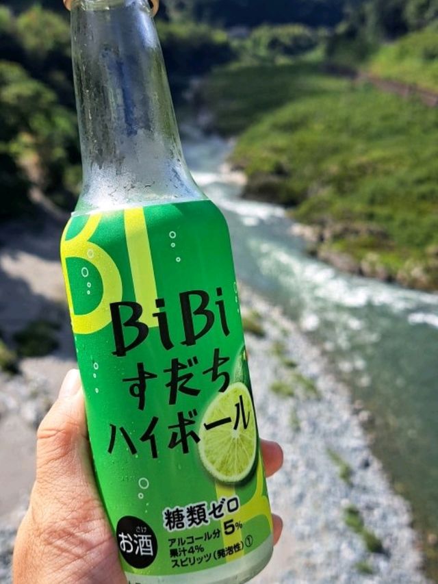 【大歩危橋:徳島県三好市】自然の壮大さにきっと必ず感動する✨