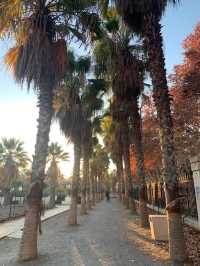 ✨Must Visit Park in Malaga—Amazing place to stroll✨