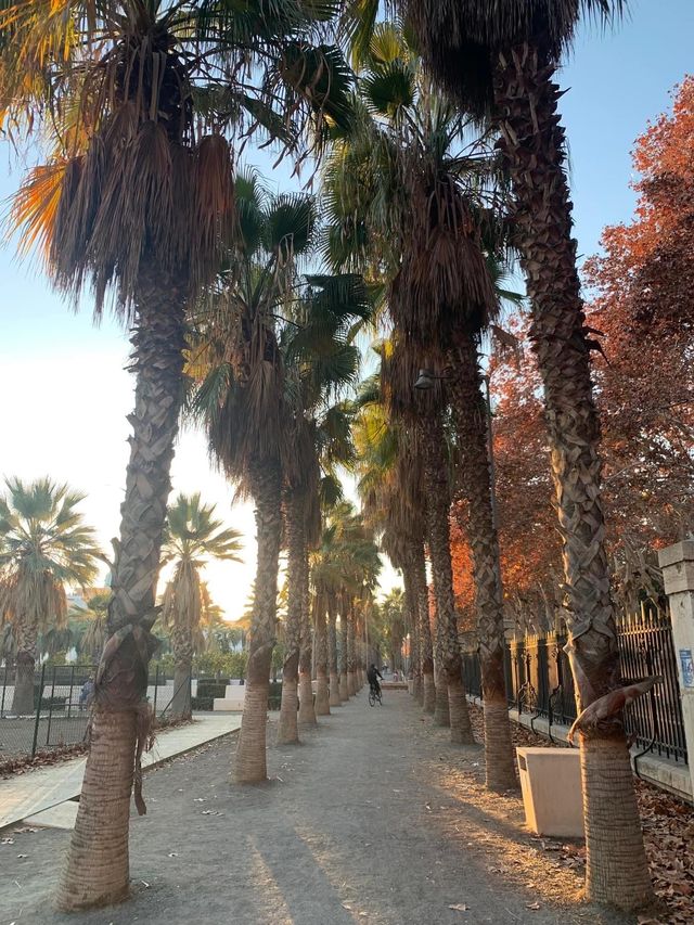 ✨Must Visit Park in Malaga—Amazing place to stroll✨