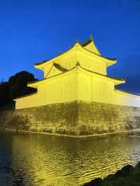 【京都旅】期間限定 ライトアップされた夜の二条城
