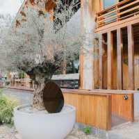 Wood.Lover Café