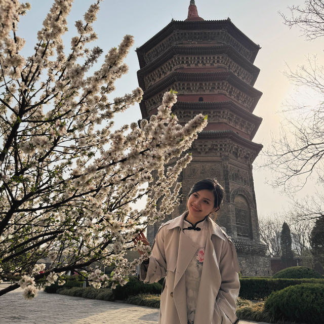 Springtime Encounter at Anyang's Historic Tianning Temple