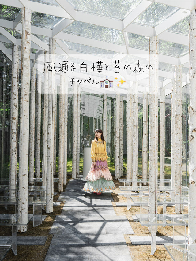 風通る白樺と苔の森のチャペル⛪️✨✨