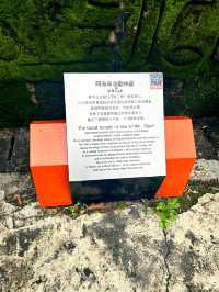 Discovering Natural Wonders at Windows of the World, Shenzhen