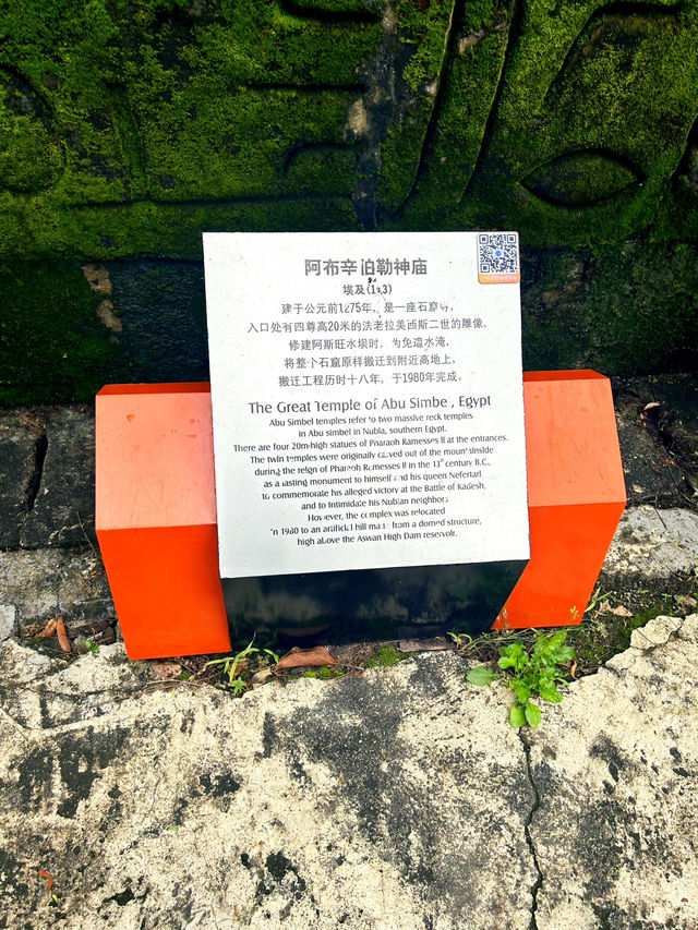 Discovering Natural Wonders at Windows of the World, Shenzhen