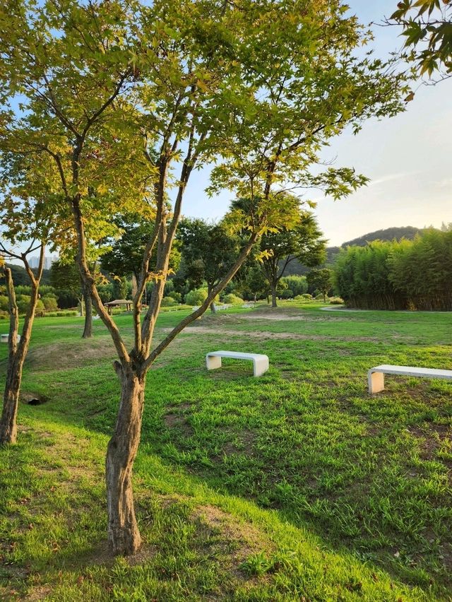 다양한 산책로가 있는 야외데이트장소 태화강국가정원❤️