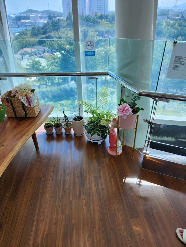 뷰가 좋은 감성카페 아나카페 고래마을점❤️