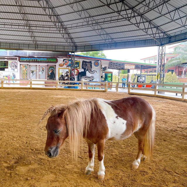 Sriayuthaya Lion Park 