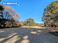 日本東京-東京庶民的後花園：新宿御苑