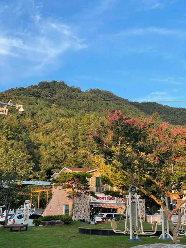 산청 원지마을로 떠나는 낙엽🍂 가을여행