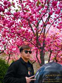 Flower Blossoms in Dali Ancient Town