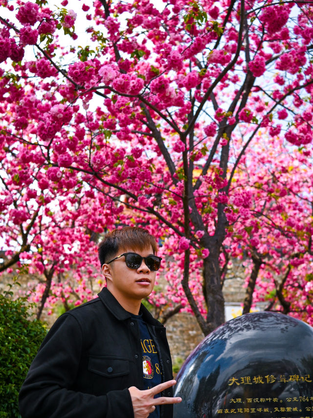 Flower Blossoms in Dali Ancient Town