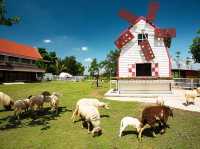 Play La Ploen Boutique Resort 