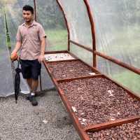 North Fields Coffee and Chocolate Tour in Costarica 