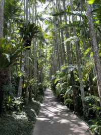沖縄・東南植物楽園