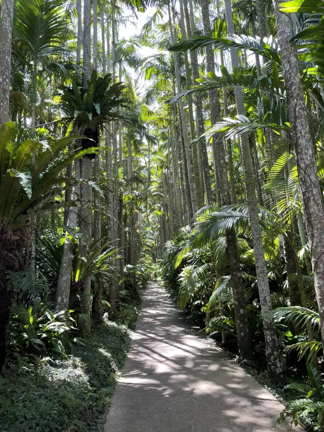 沖繩・東南植物樂園。