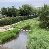 【水原華城】10月のソウルから日帰り旅行にオススメ。